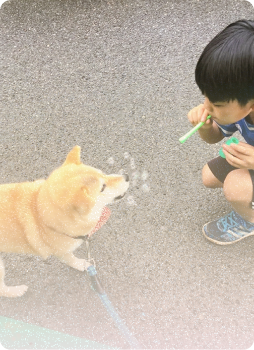 犬と子供