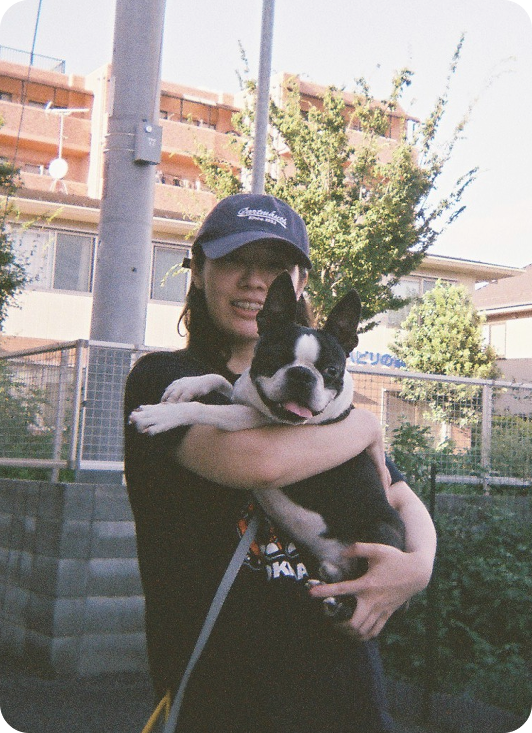 人と犬